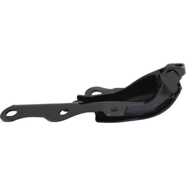 Hood Hinges fit for Vehicle Toyota 4RUNNER 2006-2009, PASSENGER SIDE, LX1236113